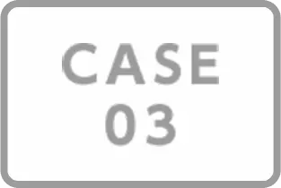CASE03