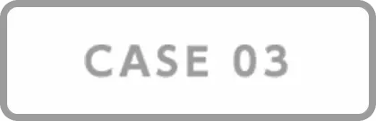 CASE03