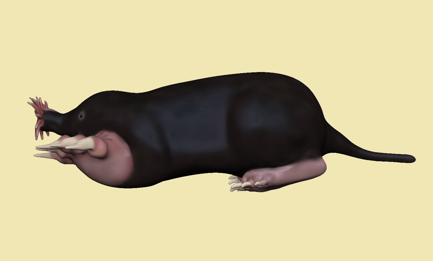 portfolio3