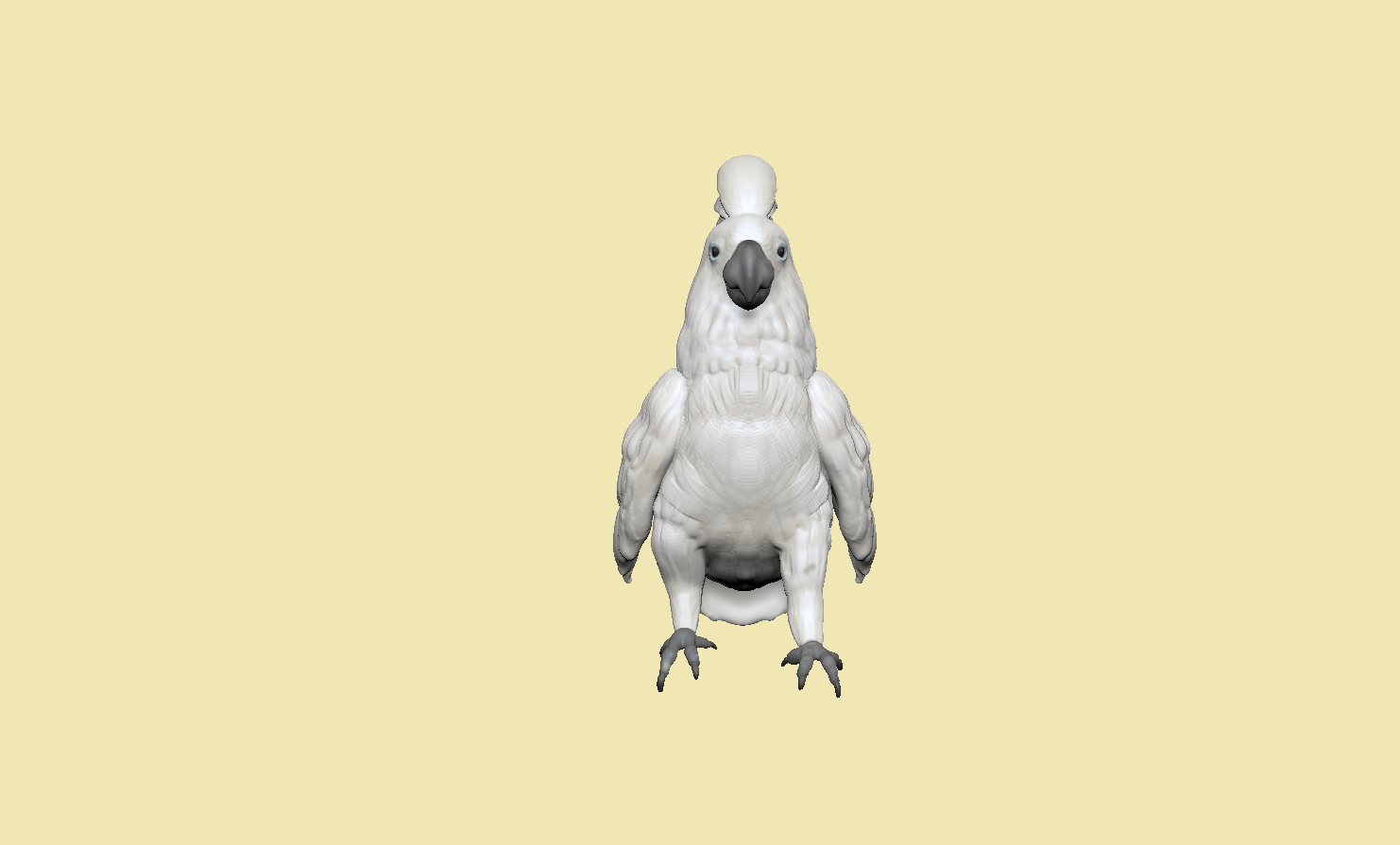 portfolio302