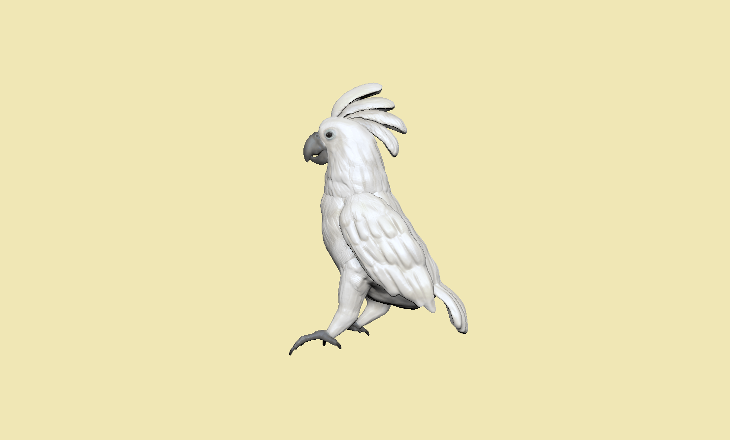 portfolio304