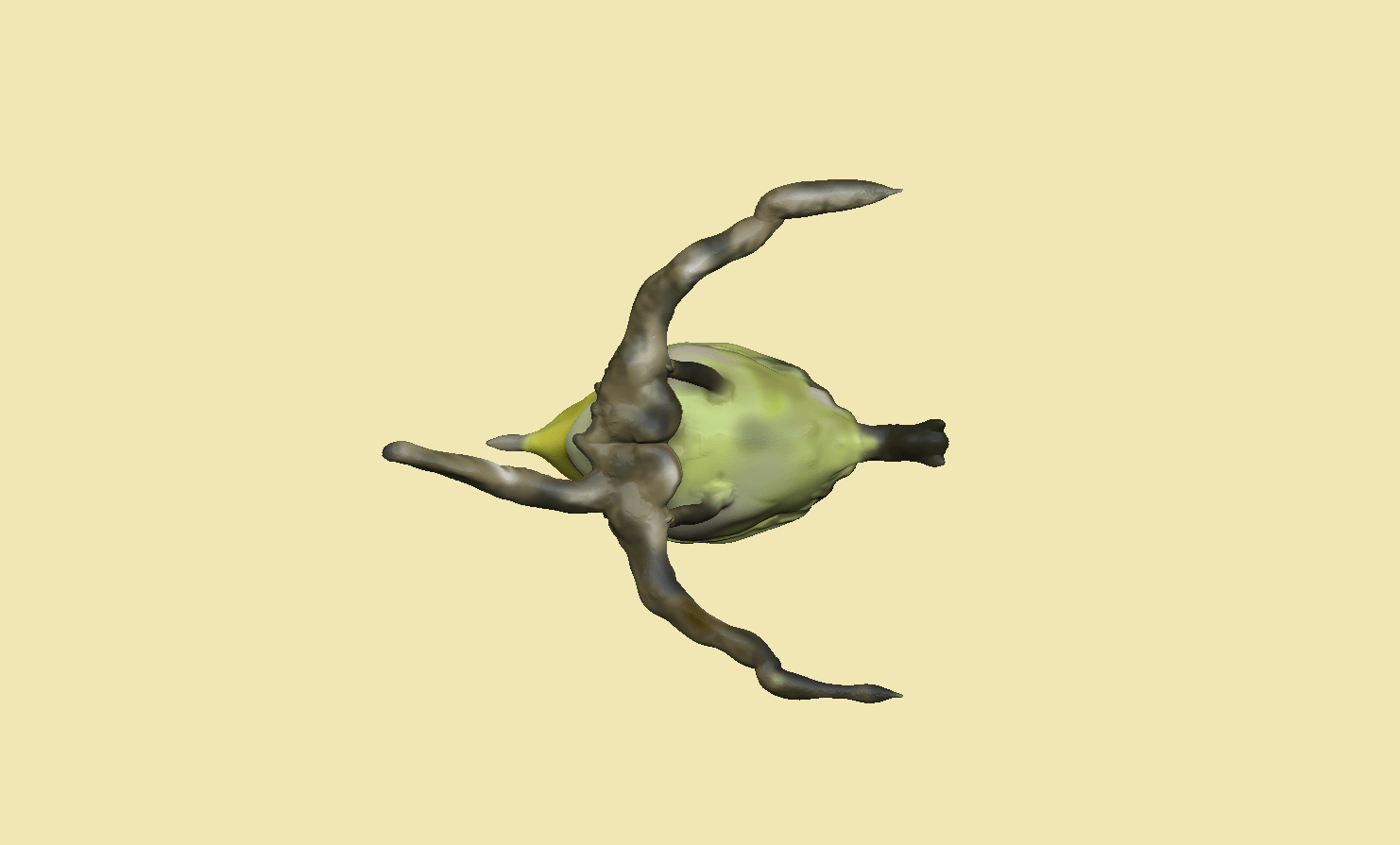 portfolio404