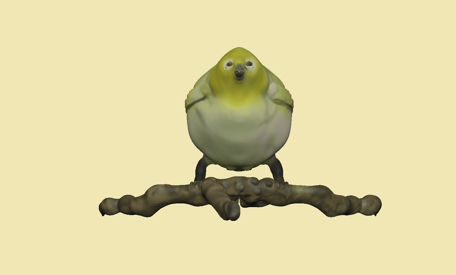 portfolio405