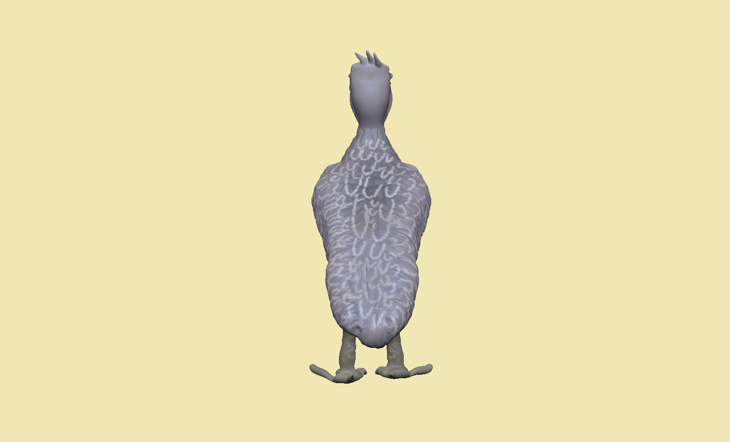 portfolio805