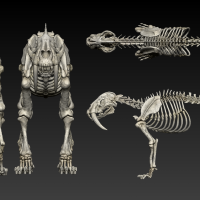 skeleton03